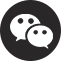  德国福莱尼电气集团有限公司